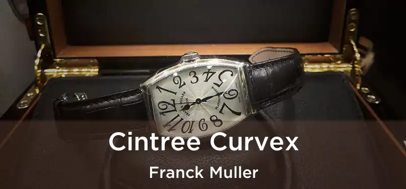  Cintree Curvex Franck Muller