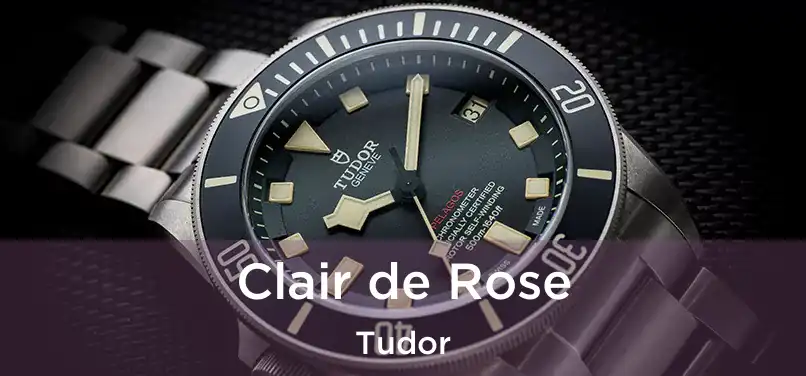  Clair de Rose Tudor